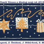 novoročenka2014